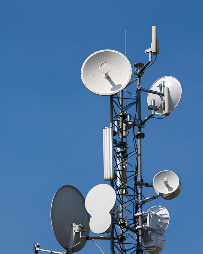 steptodown.com478045